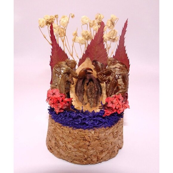 Two Cicada Skins Nut Shell & Dried Flowers Oddity Jar witchy goth taxidermy - Picture 2 of 13